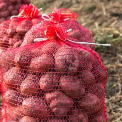 product-Saco de Rede para Batatas e Cebolas